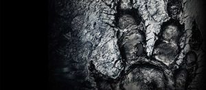evolve-adiado