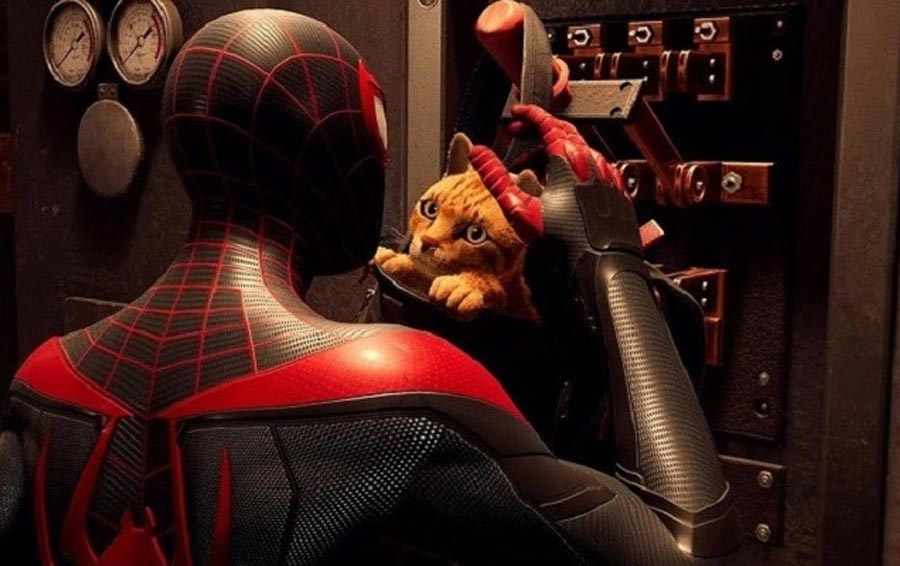gato-miles-morales