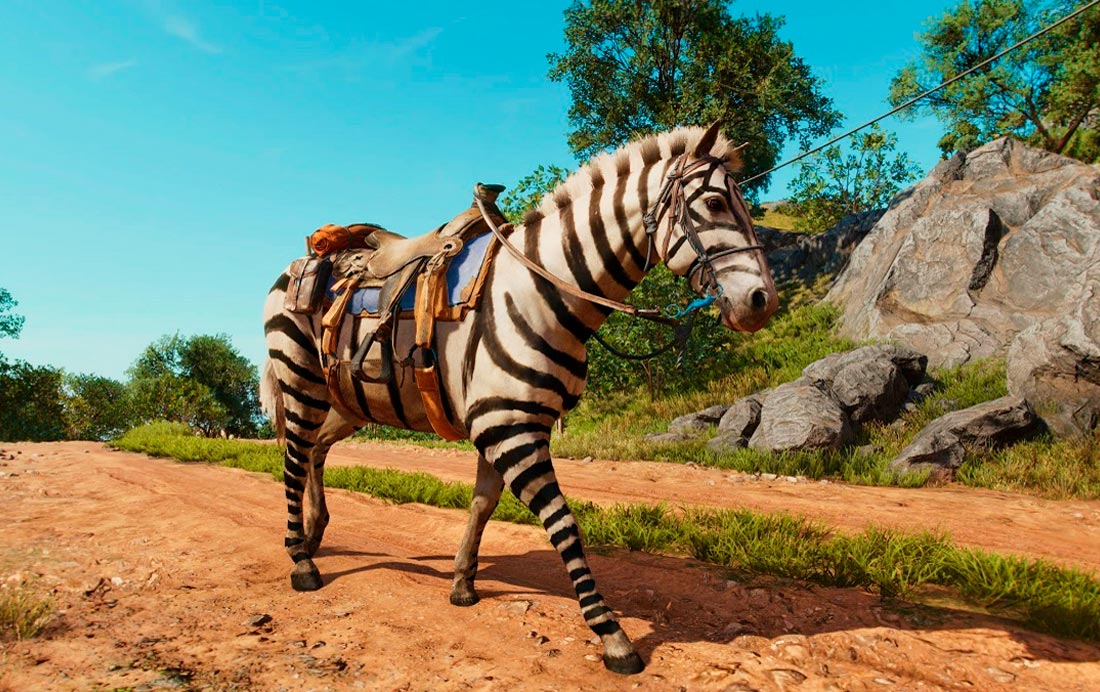 capa-zebra